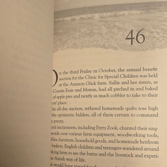 The Ebb Tide By Beverly Lewis Paperback Book Contemporary Fiction Amish - Picture 7 of 11